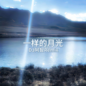 天天在线综合网
