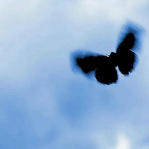 天天在线综合网
