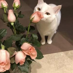 天天在线综合网
