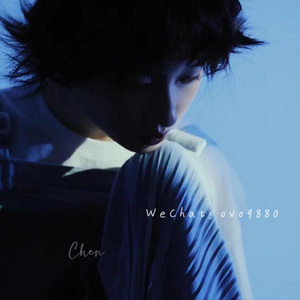 天天在线综合网
