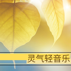 天天在线综合网
