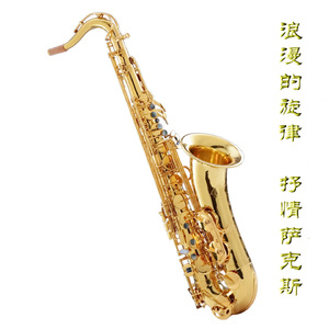 天天在线综合网
